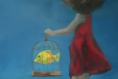 Pet