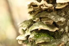 IMG_0479-scaled